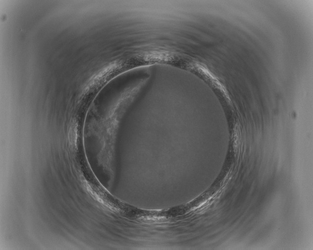 X0000087420637200704201427