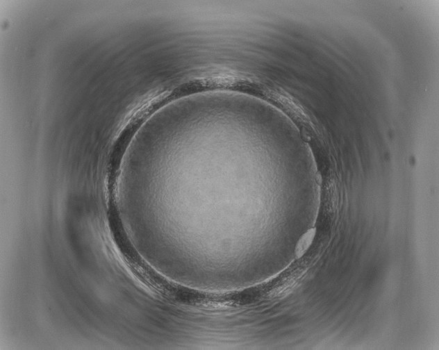 X0000087420638200704201427