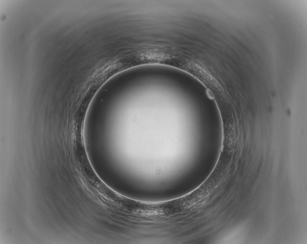 X0000087420639200704201427