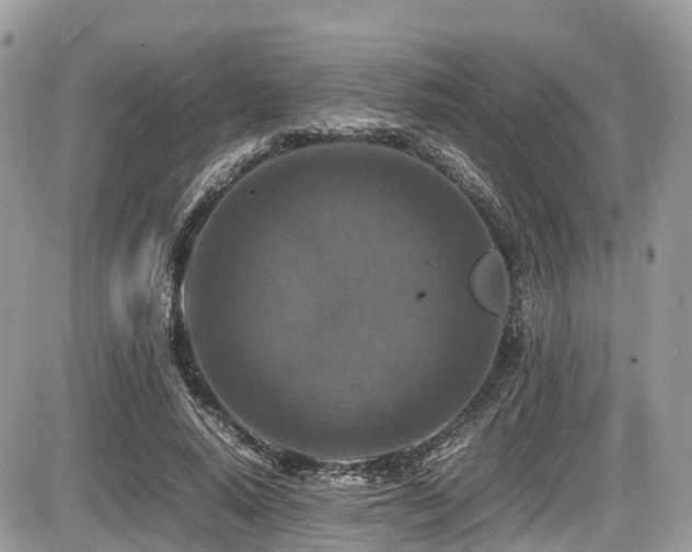 X0000087420640200704201427