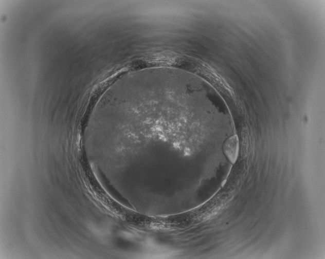 X0000087420641200704201427