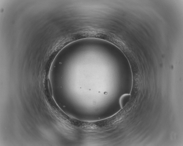 X0000087420642200704201427