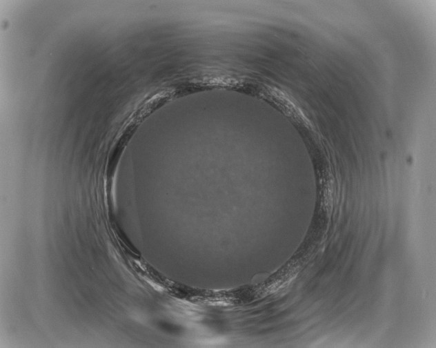 X0000087420643200704201427