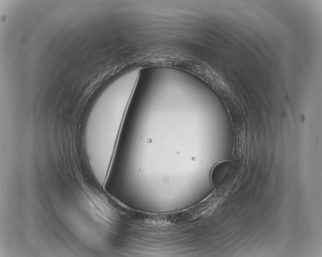 X0000087420644200704201427