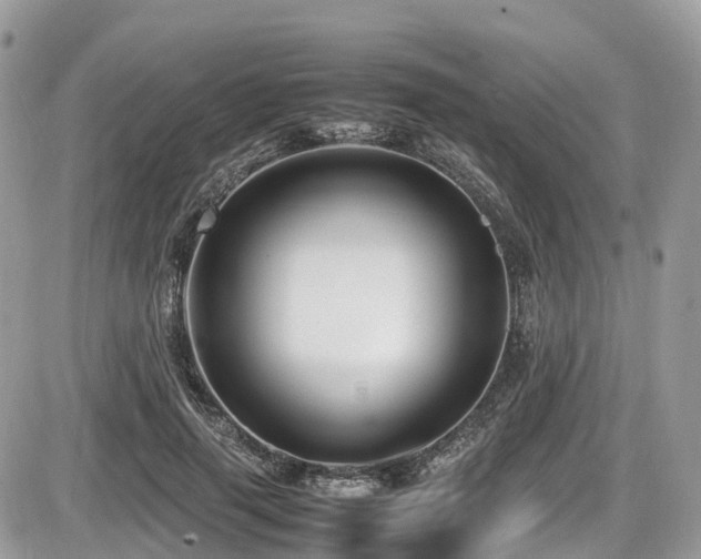 X0000087420645200704201427