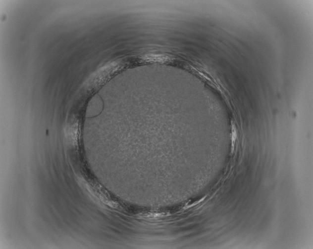 X0000087420647200704201427