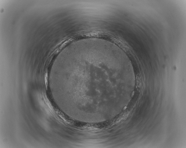 X0000087420648200704201427