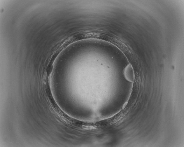 X0000087420649200704201427