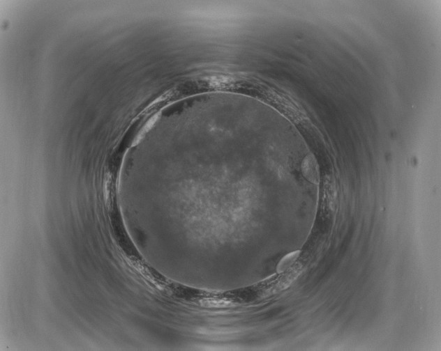 X0000087420650200704201427