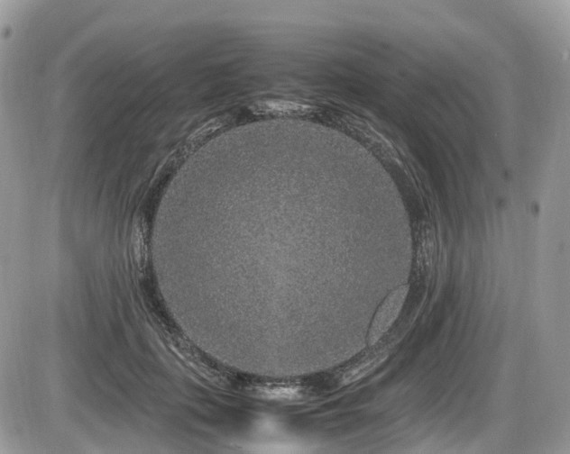 X0000087420651200704201427