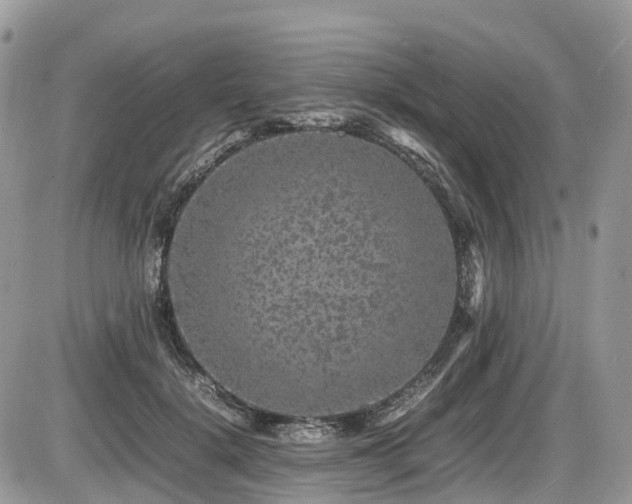 X0000087420652200704201427