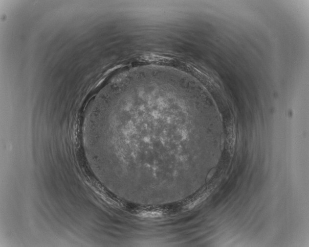 X0000087420653200704201427