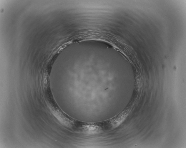 X0000087420654200704201427