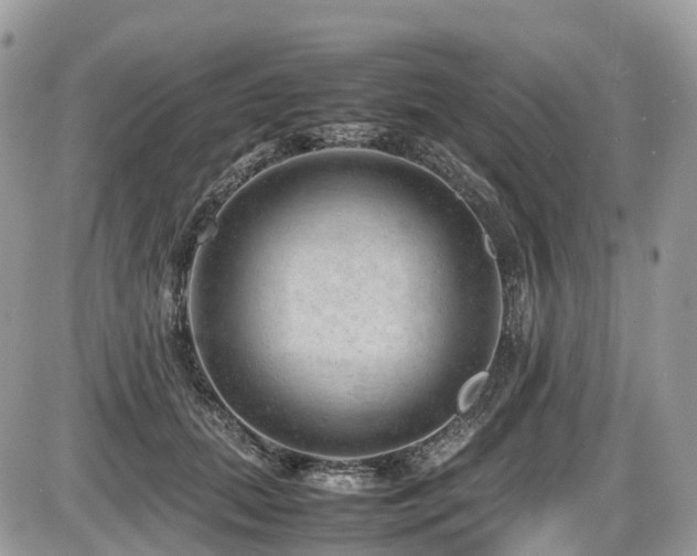 X0000087420655200704201427