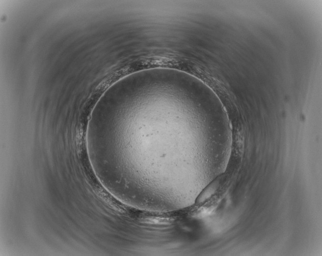 X0000087420657200704201427