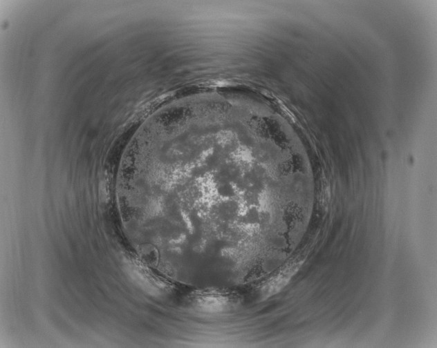 X0000087420658200704201427