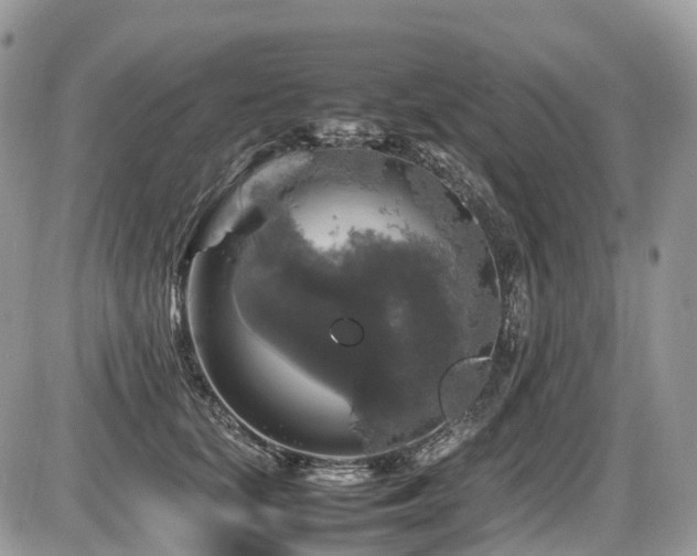 X0000087420659200704201427