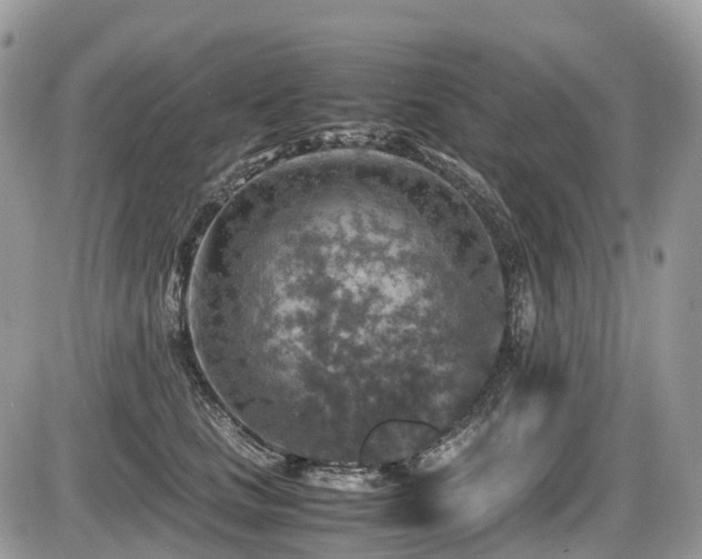 X0000087420661200704201427