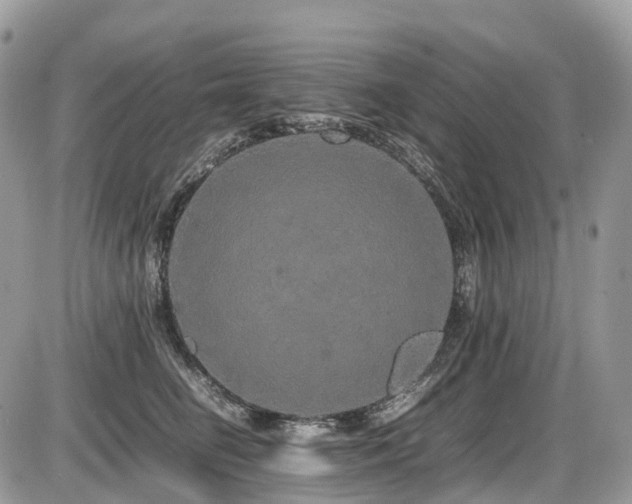 X0000087420662200704201427