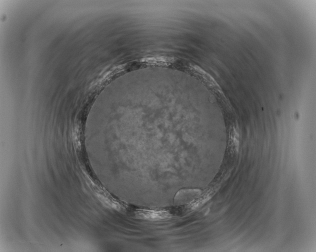 X0000087420663200704201427