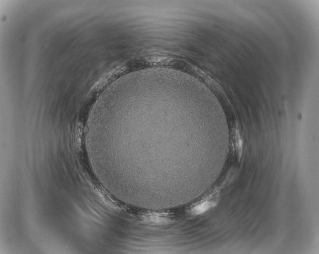 X0000087420664200704201427