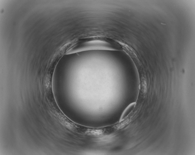 X0000087420665200704201427