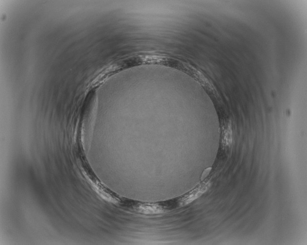 X0000087420666200704201427