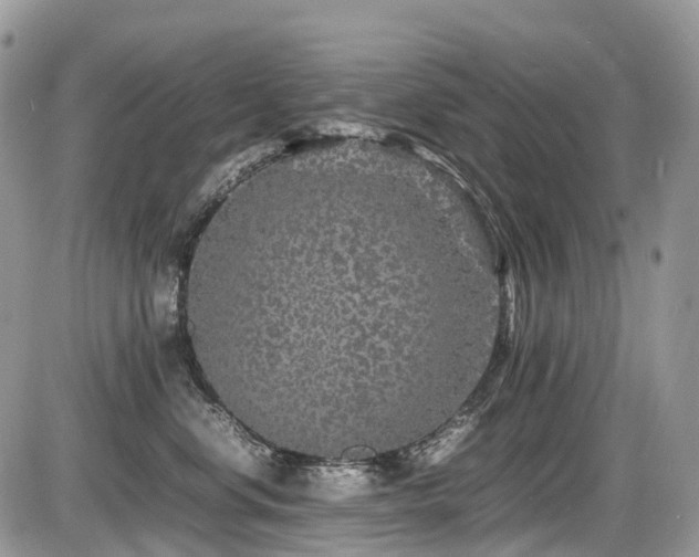 X0000087420668200704201427