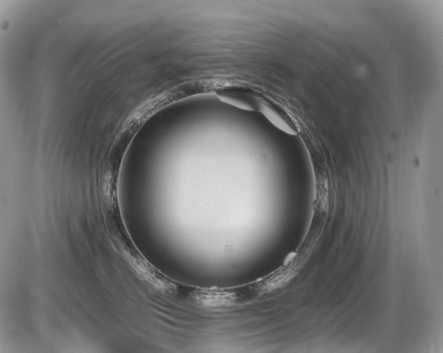 X0000087420670200704201427