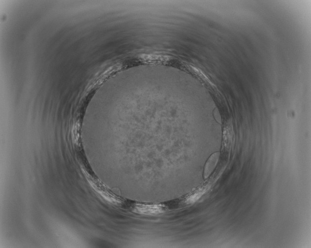 X0000087420671200704201427