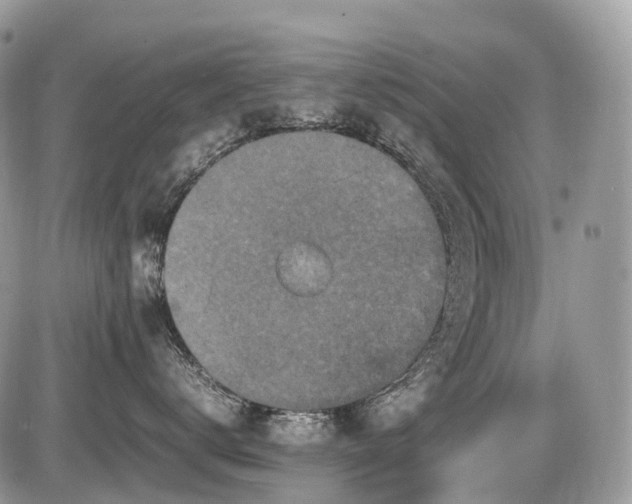 X0000087420672200704201427