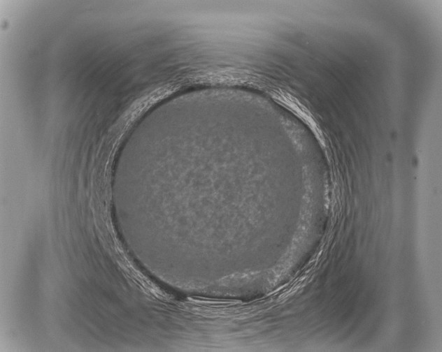 X0000087420673200704201426