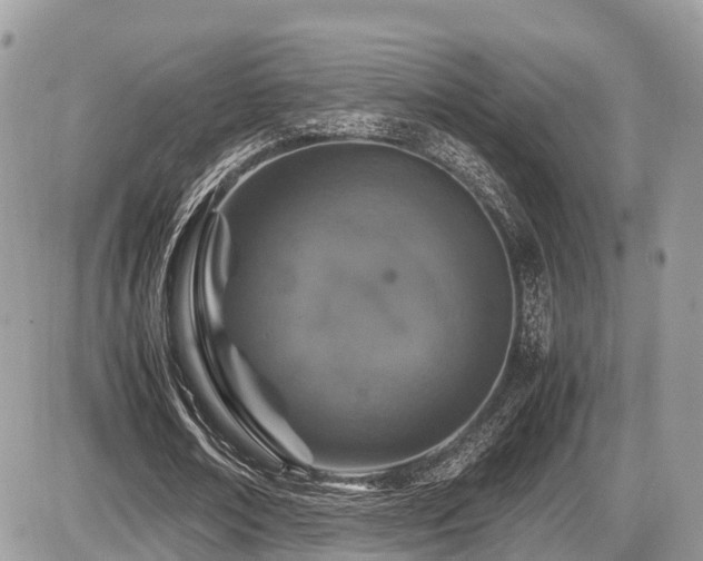 X0000087420674200704201426