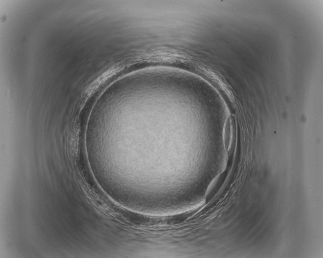 X0000087420675200704201426