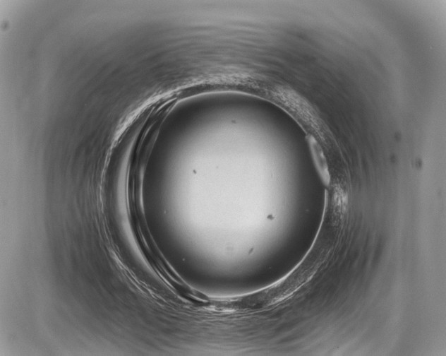 X0000087420676200704201426