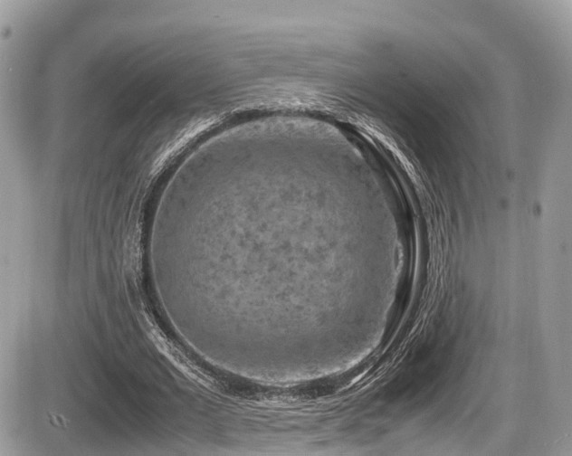 X0000087420677200704201426