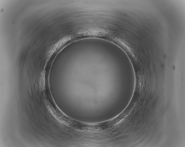 X0000087420678200704201426