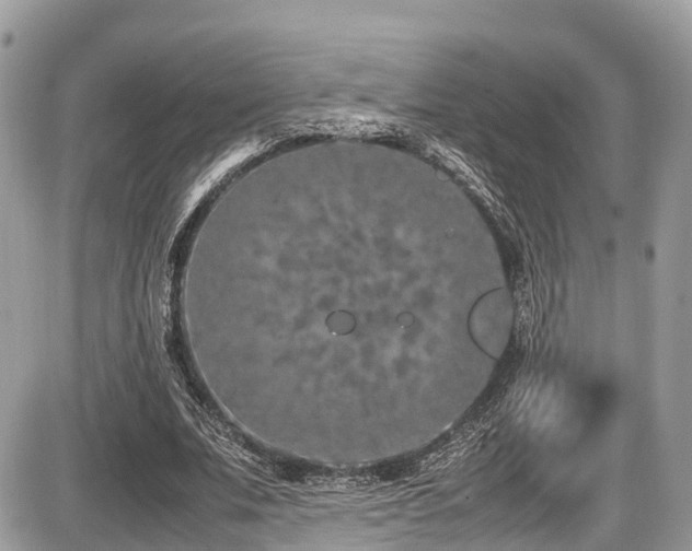 X0000087420679200704201426