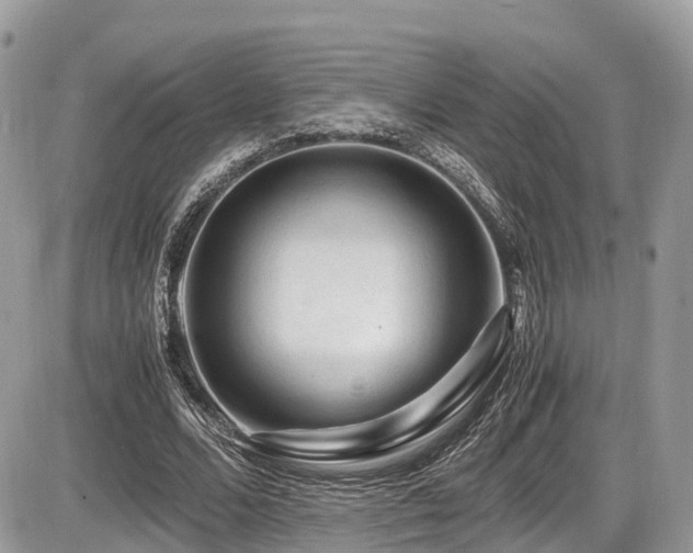 X0000087420680200704201426