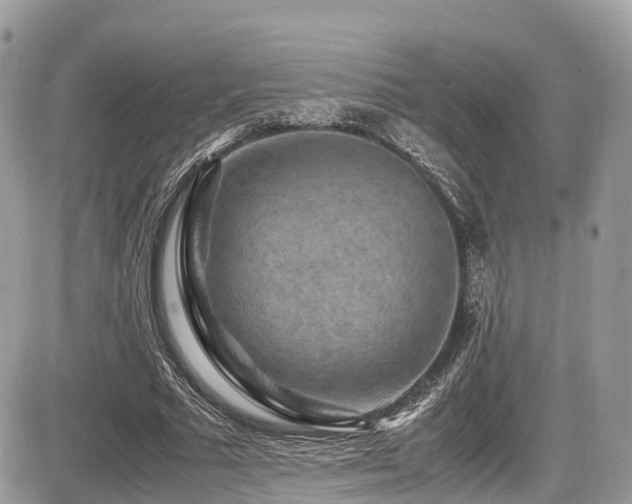 X0000087420681200704201426