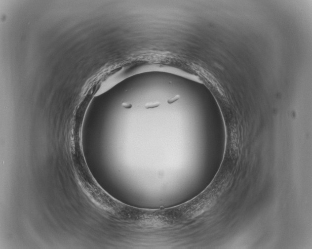 X0000087420682200704201426