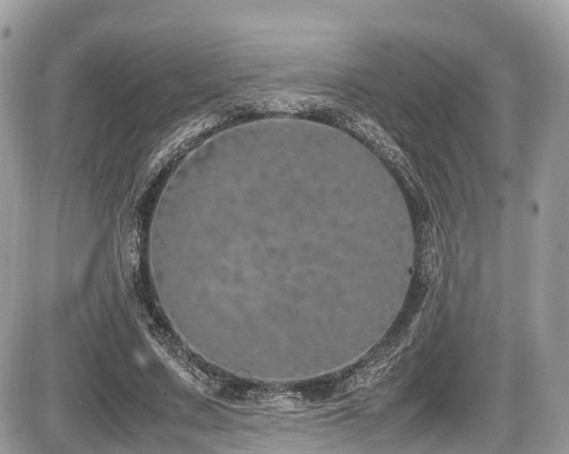 X0000087420683200704201426