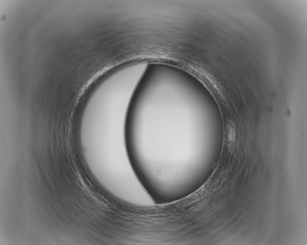 X0000087420684200704201426