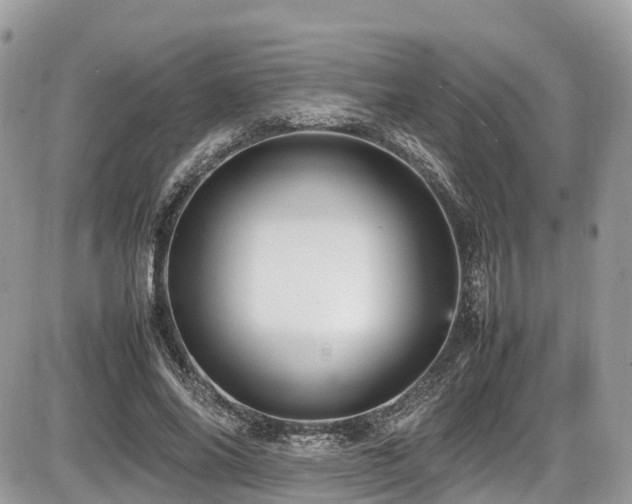 X0000087420686200704201426