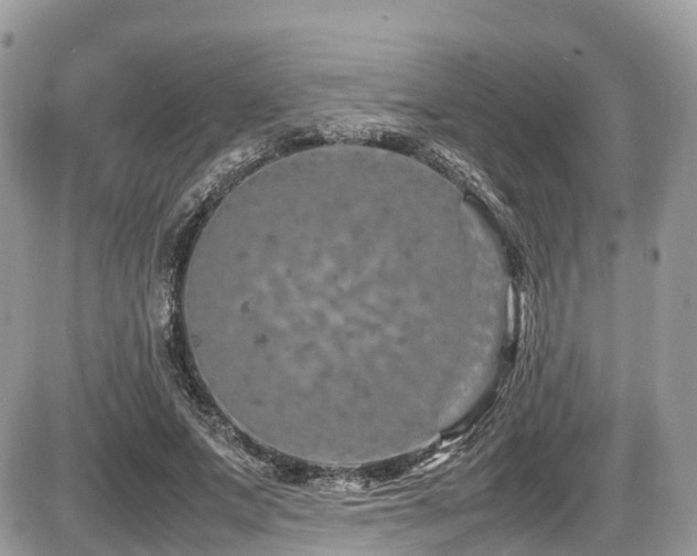 X0000087420687200704201426