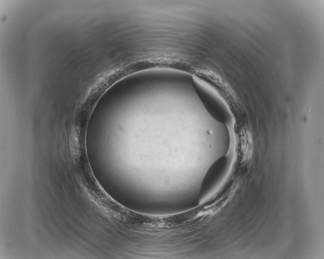 X0000087420688200704201426