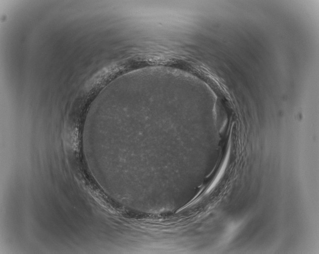 X0000087420689200704201426