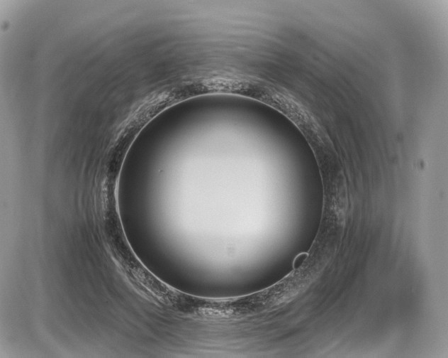 X0000087420690200704201426