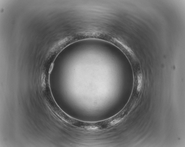 X0000087420692200704201426