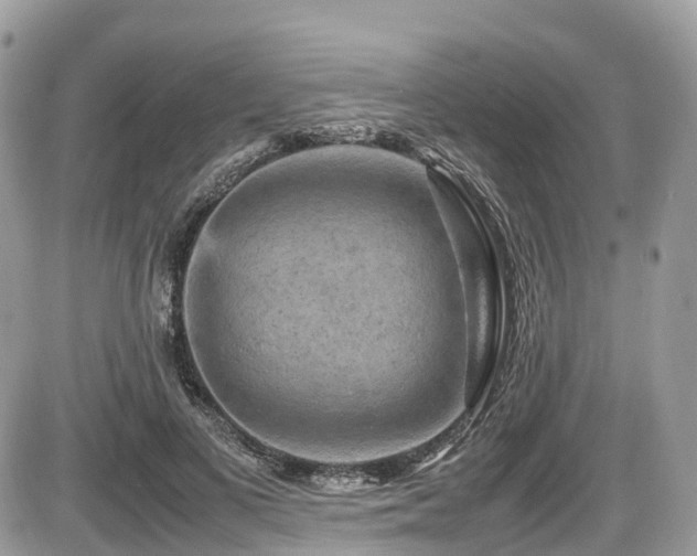 X0000087420693200704201426